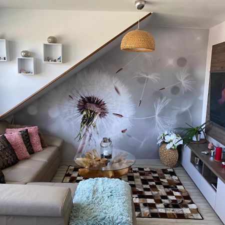 Deluxe Apartman Lisci Kopec 브르흘라비 외부 사진
